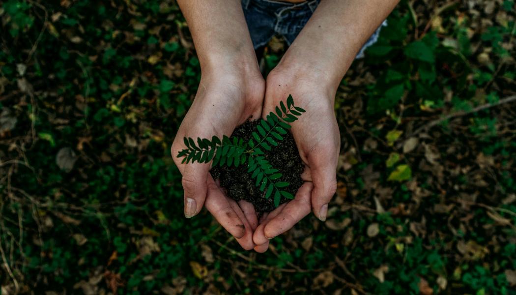 Foto:  Noah Buscher / Unsplash
