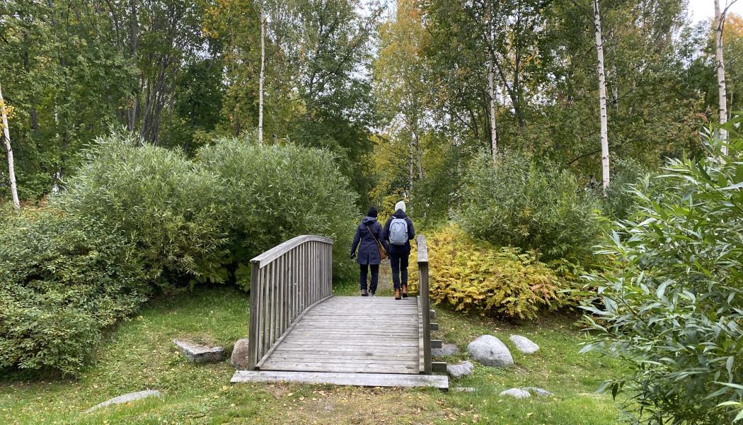 Foto: Norconsult