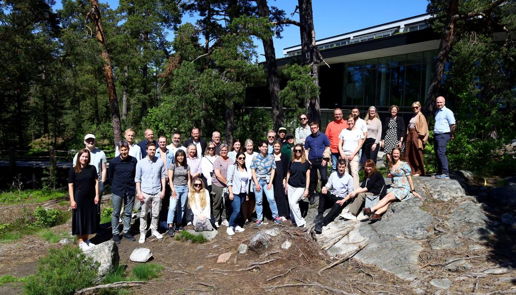 Carlstedt Arkitekter & LINK Arkitektur har nu levererat bygghandlingen för Västmanlands nya akutsjukhus Foto: Carlstedt Ark.
