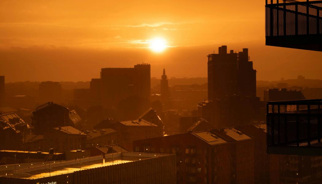 Foto: Steven Erixon / Unsplash
