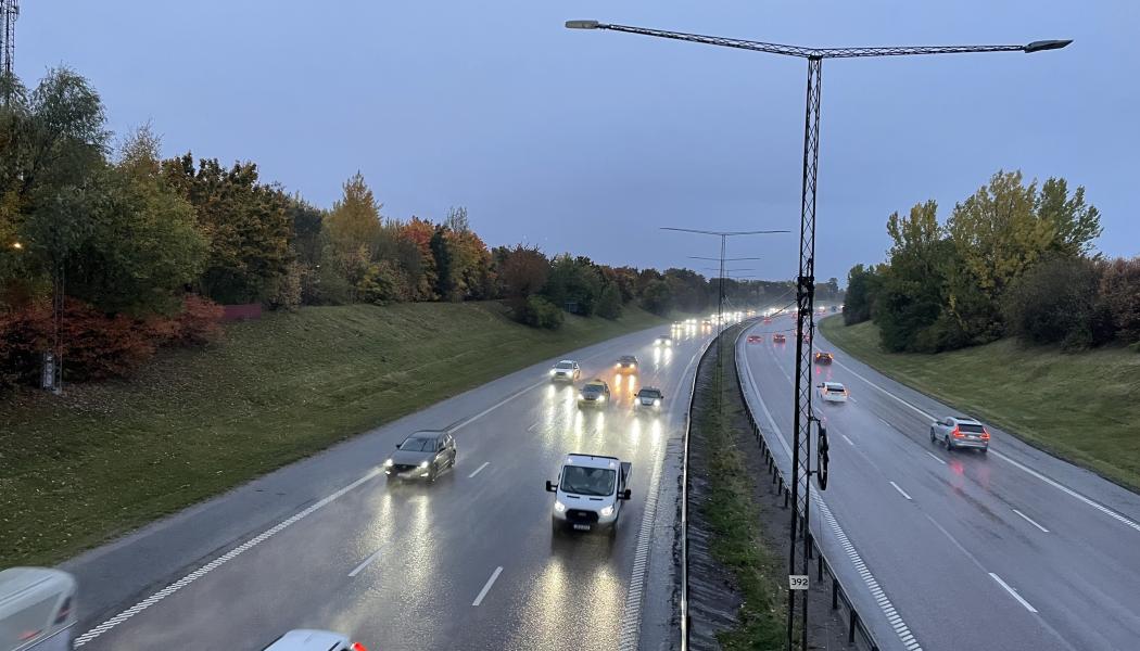 Man får ofta anpassa styrningen och åtgärder utifrån platsens specifika förutsättningar och artförekomster eftersom det i dagsläget saknas standarder för minskad ekologisk påverkan. Foto: Synoptik