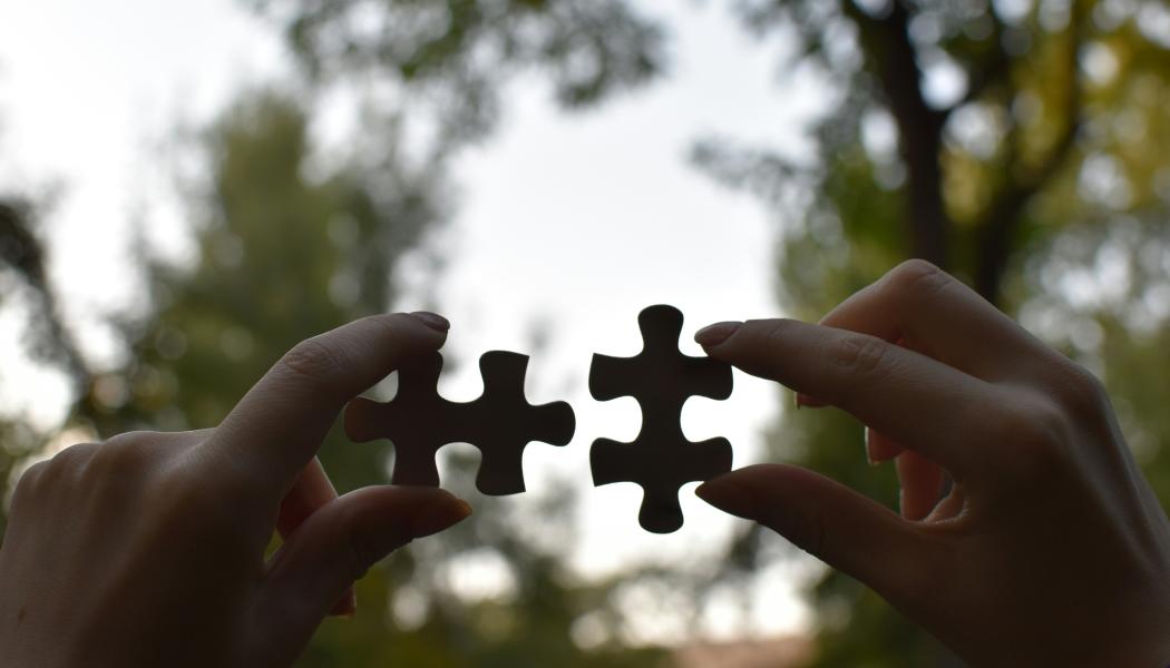 Foto: Vardan Papikyan / Unsplash