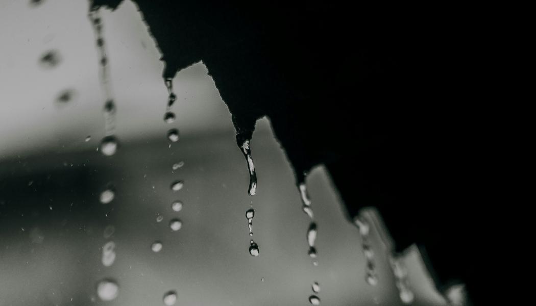 Regnvatten lyfts fram som en möjlig resurs i framtidens byggprojekt när vattenbristen ökar i flera delar av landet. Foto: ardi fitri/Unsplash