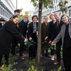 Från vänster: Disa Ahlbom-Berg, Niklas Carlbaum, Stefan Sandberg, Anna Kinberg Batra, Karin Wanngård, Caroline Arehult, Anders Söderholm och Astrid Söderbergh Widding. Foto: Nils Petter Nilsson