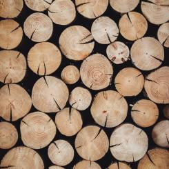Foto: Alexandre Jaquetoni/Unsplash