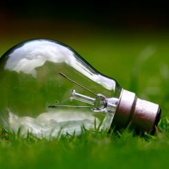 Glödlampa på gräsmatta. Foto:  Ashes Sitoula / Unsplash