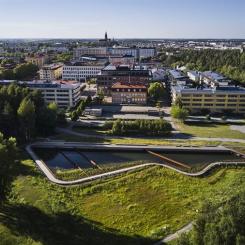 Dagvattendamm. Foto: Måns Berg