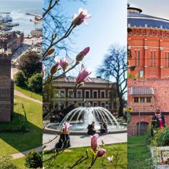 De tre finalisterna i WWFs klimatutmaning 2o22 är Helsingborg, Lund och Stockholm. Foto: Helsingborg stad, Lunds kommun och Stockholm stad.