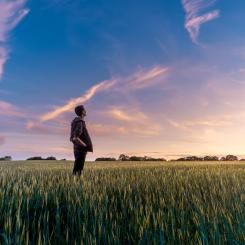 Foto: Benjamin Davies/Unsplash