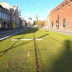 Ecoraster gräsarmering från BG Byggros har bland annat levererats till den danska staden Odense. På flera platser i stadskärnan har körbanorna för trafik minskats kraftigt på bredden för att ge plats för spårvagnens bankropp, som lagts ut som en grön gräsmatta.