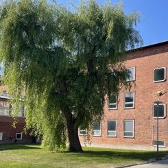 CMB-kvarteret, Campus Solna. Foto: Akademiska Hus