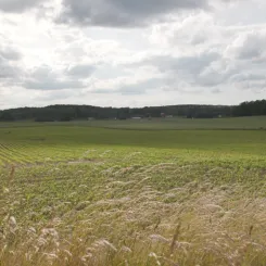 Bild tagen längs nya sträckningen Olofström-Blekinge kustbana. Foto: Jonas Fältman/Trafikverket