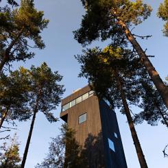 Dalarnas nya utsiktstorn, foto: Klas Sjöberg