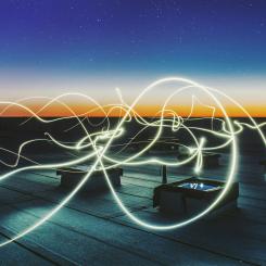 Foto: Federico Beccari/Unsplash