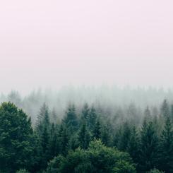 Foto: Filip Zrnzević/Unsplash