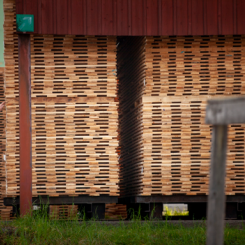 Foto: Fredrik Hjerling