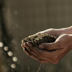Foto:  Gabriel Jimenez / Unsplash