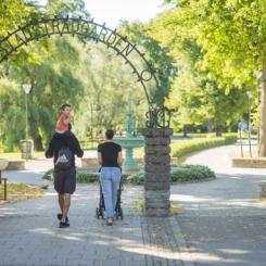 Den nya grön- och blåstrukturplanen blir ett centralt underlag till kommunens översiktsplan och utveckling av stad, tätorter och landsbygder. Foto: Lilla produktionsbolaget