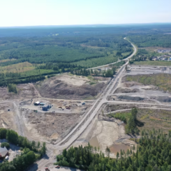 Biokol har tillverkats av projektets stubbar (avfall) som sedan återplanterats i trädgropar under planteringen. Fotograf: Martin Lundholm.