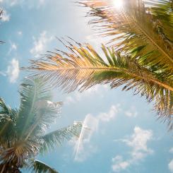 Foto:  Jorge Vasconez / Unsplash