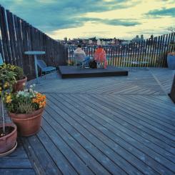 Takpark Sveavägen 44. Foto: Urbangreen