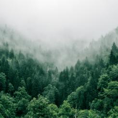 Foto: Marita Kavelashvili/Unsplash
