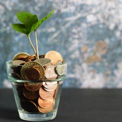 Foto: Micheile/Unsplash