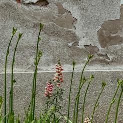 Foto: Miska Sage / Unsplash