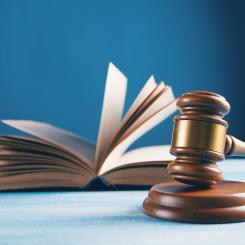 Naturskyddsföreningen har begärt rättsprövning av regeringens beslut att tillåta bygget av motortrafikleden Tvärförbindelse Södertörn i södra Stockholm. Foto: sasun bughdaryan /Unsplash