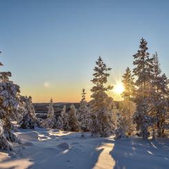 Foto: Niklas Jonasson/Unsplash