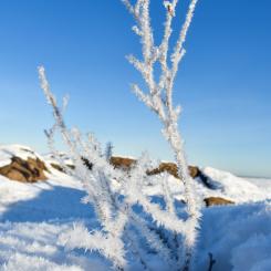 Foto: Niklas Jonasson/Unsplash