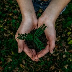 Foto:  Noah Buscher / Unsplash
