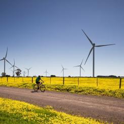 Det tyska företaget Notus Energy genomför ett nytt projekt för en vindkraftpark på 300 MW i Odessa-regionen, varav det första skedet kommer att vara på 120 MW, enligt företagets toppchef vid energimässan URC2024. Den första fasen av vindturbinerna är inte färdigställda, men företaget gör allt för att så snart som möjligt kunna starta projektet.