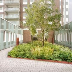 Gårdsvy från ett tidigare projekt på Sollentuna sjuhkhus. Illustration: Norconsult