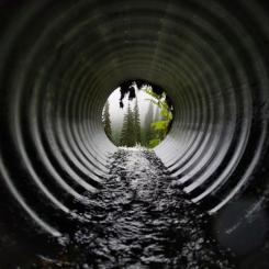 Nu blir det enklare att bygga om hemma, till exempel genom att göra en tillbyggnad eller sätta in fler fönster.
Foto: Åke E:son Lindman/Svenskt Trä