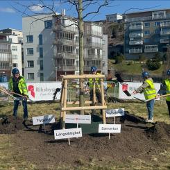 Från vänster: Dzejna Wallin, marknadsområdeschef Storgöteborg, Riksbyggen, Johanna Frelin, vd på Riksbyggen, Mic Möller, B2B-ansvarig, Tomas Angervik, ordf. Byggnadsnämnden, Mölndals Stad. Pressbild: Riksbyggen