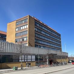 Strutsen Luleå. Pressbild: Diös Fastigheter