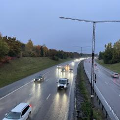 Man får ofta anpassa styrningen och åtgärder utifrån platsens specifika förutsättningar och artförekomster eftersom det i dagsläget saknas standarder för minskad ekologisk påverkan. Foto: Synoptik