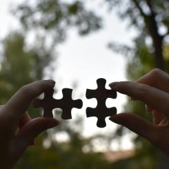 Foto: Vardan Papikyan / Unsplash