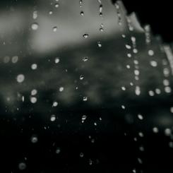 Regnvatten lyfts fram som en möjlig resurs i framtidens byggprojekt när vattenbristen ökar i flera delar av landet. Foto: ardi fitri/Unsplash